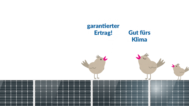 Sujet zum Sonnenkraftwerk NÖ